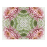 Pink Chrysanthemums Kaleidoscope Art 8 Postcard