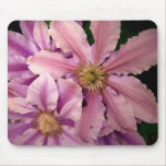 Pink Clematis Mouse Pad
