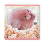 Pink Cockatoos magnets