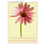 Pink Cone Flower If that flower starts to fade Cards