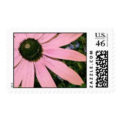 Pink Coneflower Wedding Postage by naturalilly