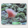 Pink coral in saltwater aquarium mousepad