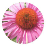 Pink Cornflower Decorative Sticker stickers