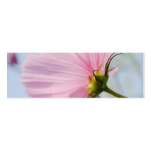 Pink Cosmos • Bookmark / Business Card