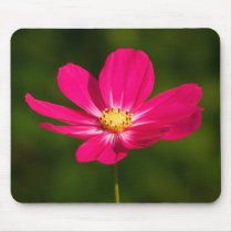 Pink Cosmos Mouse Pads