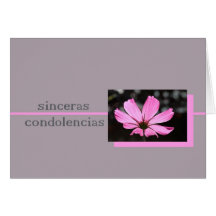 pink cosmos spanish sympathy card