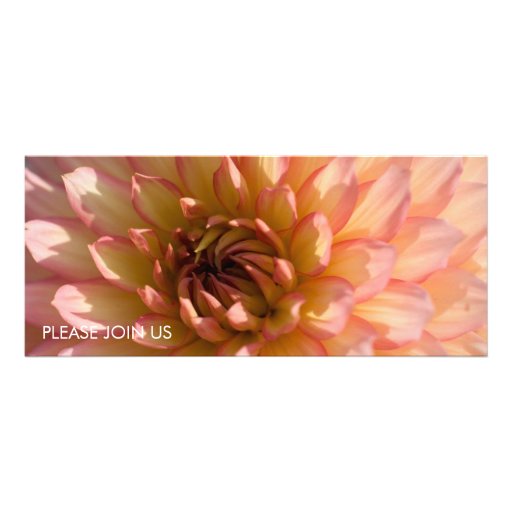 Pink & Cream Dahlia DSC6057 Personalised Invitation
