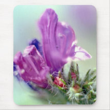 Pink Crocus Like Flower in Soft Focus Mousepads