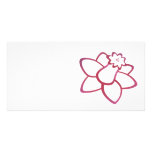 Pink Daffodil photo cards