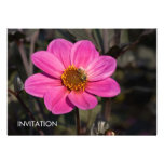 Pink Dahlia & Bee Invitations
