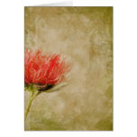 Pink Dahlia Cards