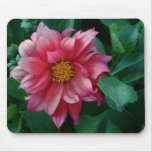 Pink Dahlia flower blossom mousepads unique