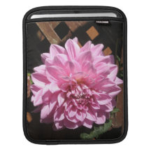 Pink Dahlia Flower Sleeve For iPads