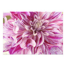 Pink Dahlia Invitation