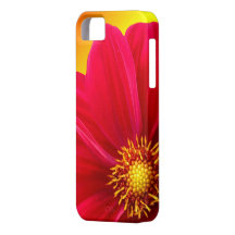 Pink Dahlia iPhone 5 Case