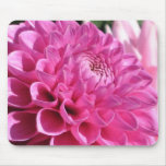 Pink Dahlia Mousepad
