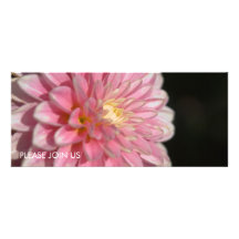 Pink Dahlia Personalized Announcements