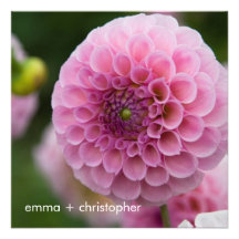 Pink Dahlia Personalized Invite