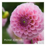 Pink Dahlia Personalized Invite