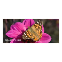 Pink Dahlia with Painted Lady DSC6079 Custom Invitations