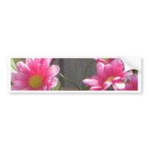 Pink Daisies Bumper Sticker