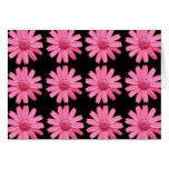 Pink Daisies Card