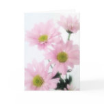 Pink Daisies cards
