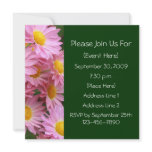 Pink Daisies Flower Photography Party Invitation