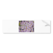 Pink Daisies Plus Bumper Sticker