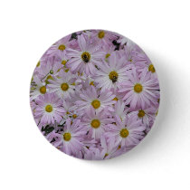 Pink Daisies Plus