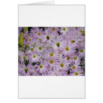 Pink Daisies Plus Card