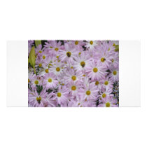 Pink Daisies Plus Customized Photo Card