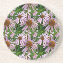 Pink Daisies with a Bee