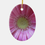 Pink Daisy Beauty Ornament