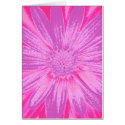 Pink Daisy Card