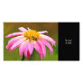 Pink Daisy Collectible Photo Card