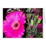 Pink Daisy Greeting Cards