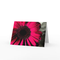 Pink Daisy Notecard