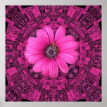 PINK DAISY PRINT