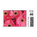 Pink Delight postage