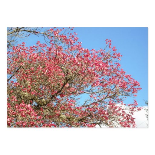 Pink Dogwood Blooms and Sky 2 Business Cards