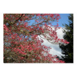 Pink Dogwood Blooms and Sky With Tall Pine Business Card Template