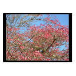Pink Dogwood Blooms frame Business Card Template