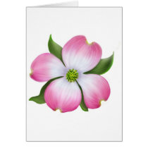 Pink Dogwood Flower Greeting Cards