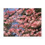 Pink Dogwood Flower Photography Postcard