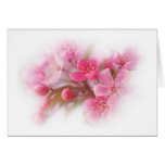 pink dogwood flowers card