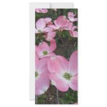 Pink Dogwood