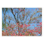 Pink Dogwood Tangle with Pine Business Card