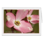 Pink Dogwoods Card