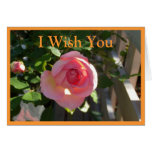 Pink English Rose Greeting Card